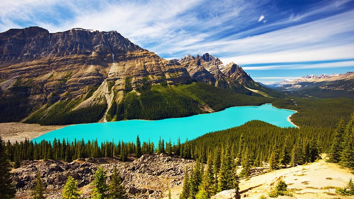 Lake Peyto i Banff National Park, Kanada