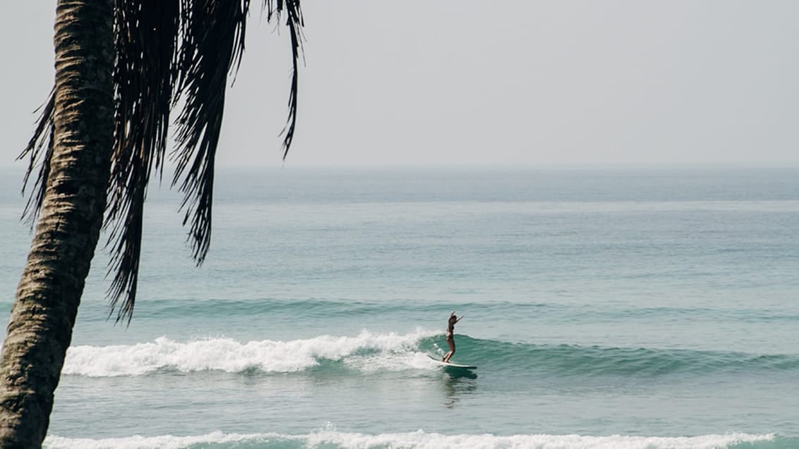 Lapoint surf camp i Sri Lanka