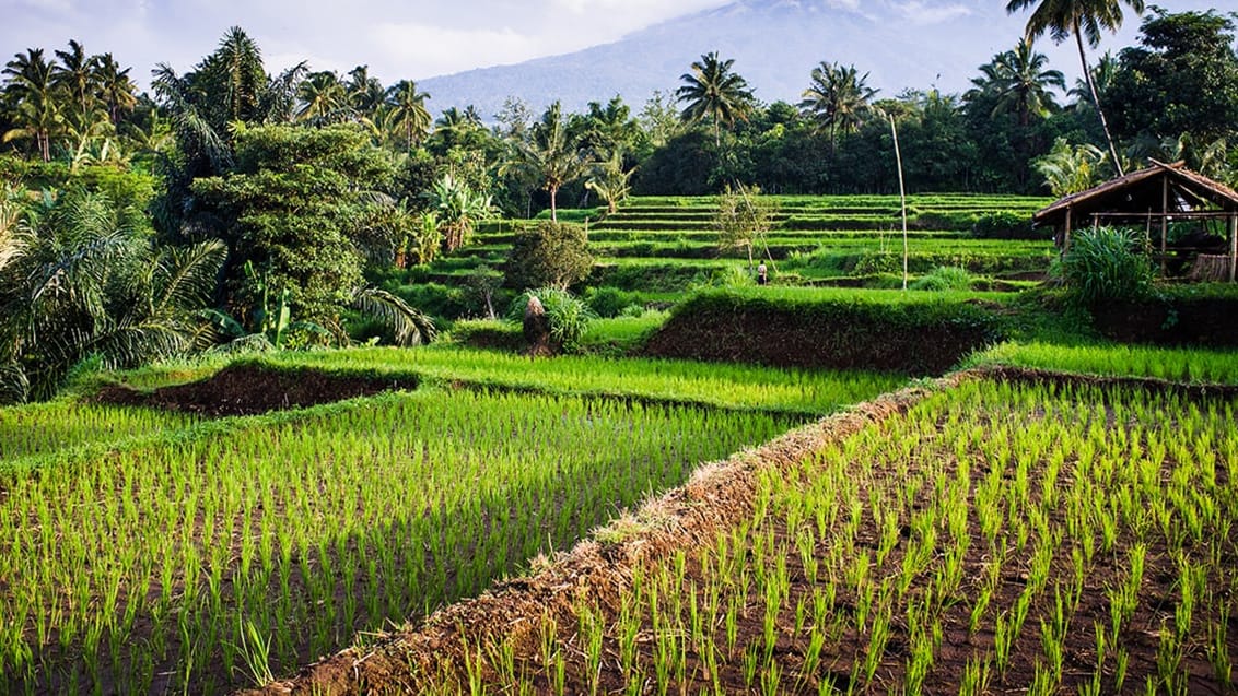 Lombok, Indonesien