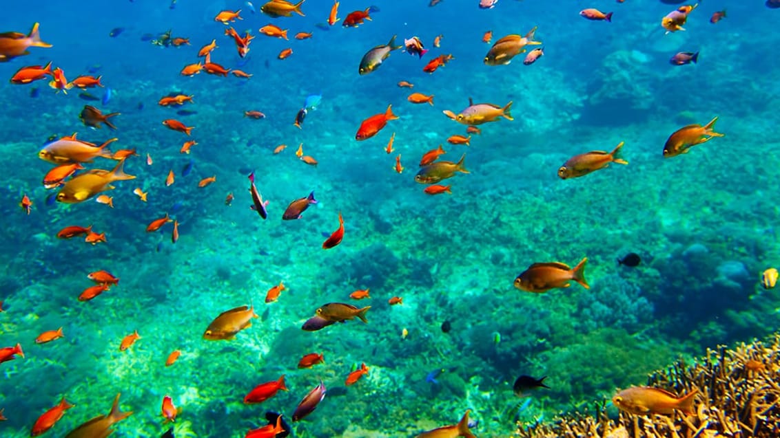 Mabul, Borneo