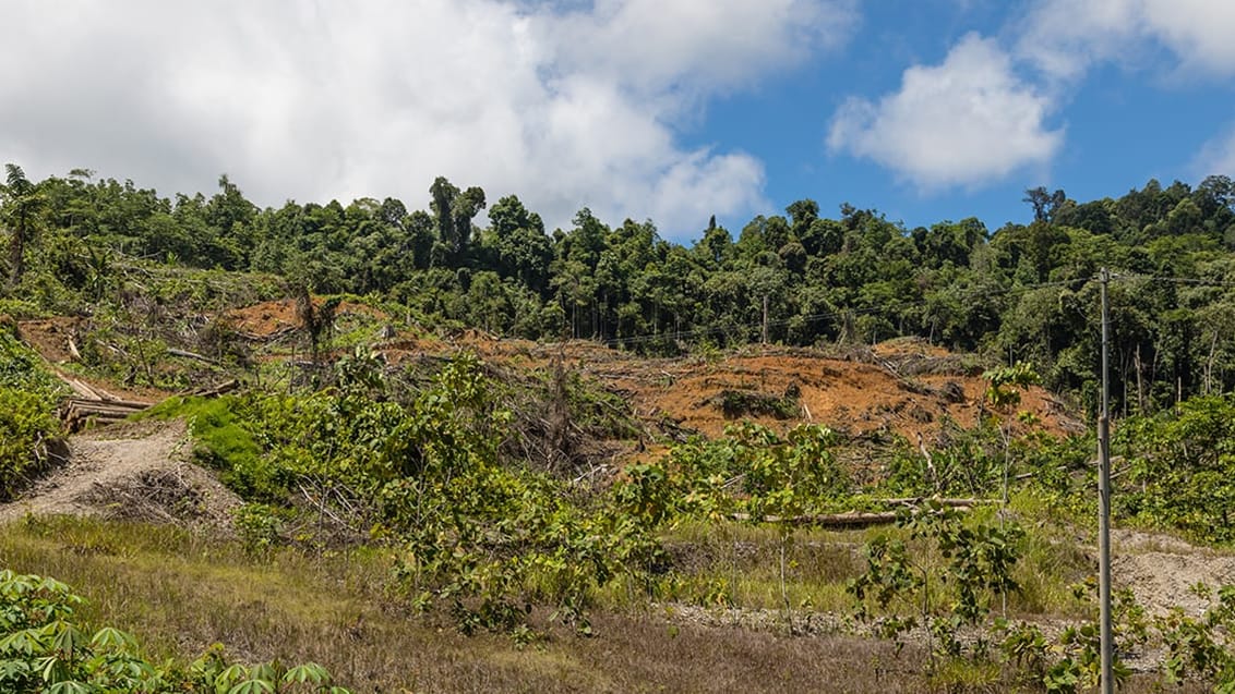 Maliau Basin, Malaysia