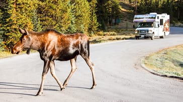 Med husbil i västra Kanada