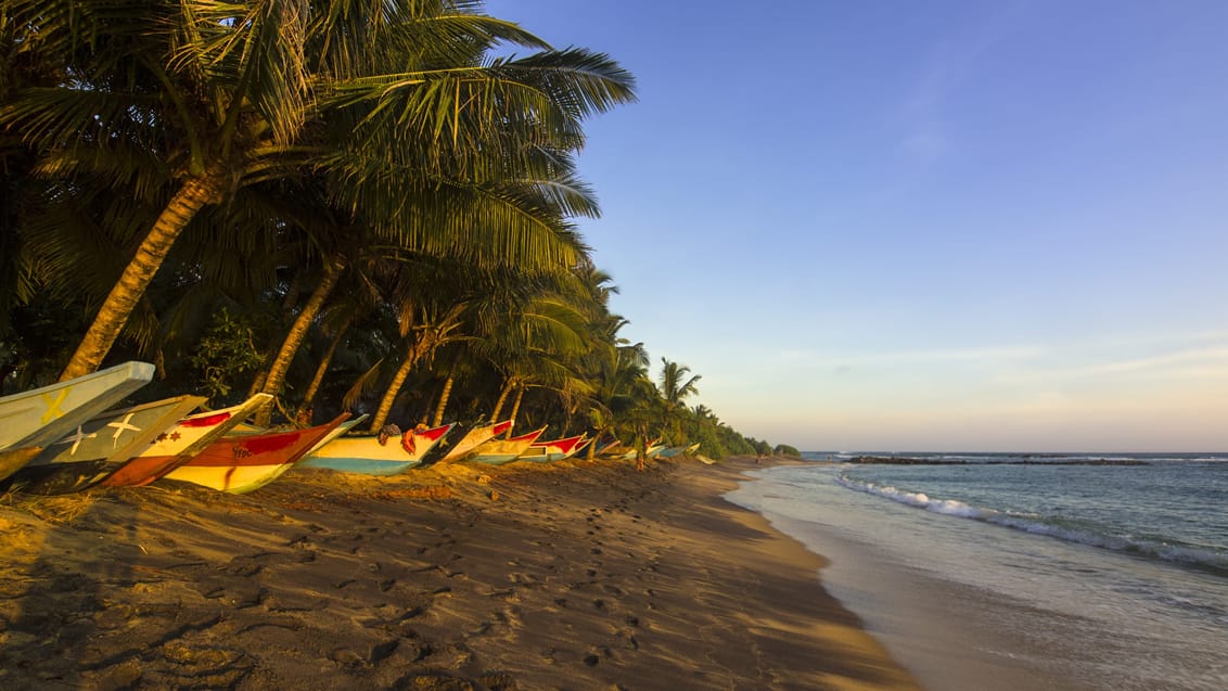 Mirissa, Sri Lanka