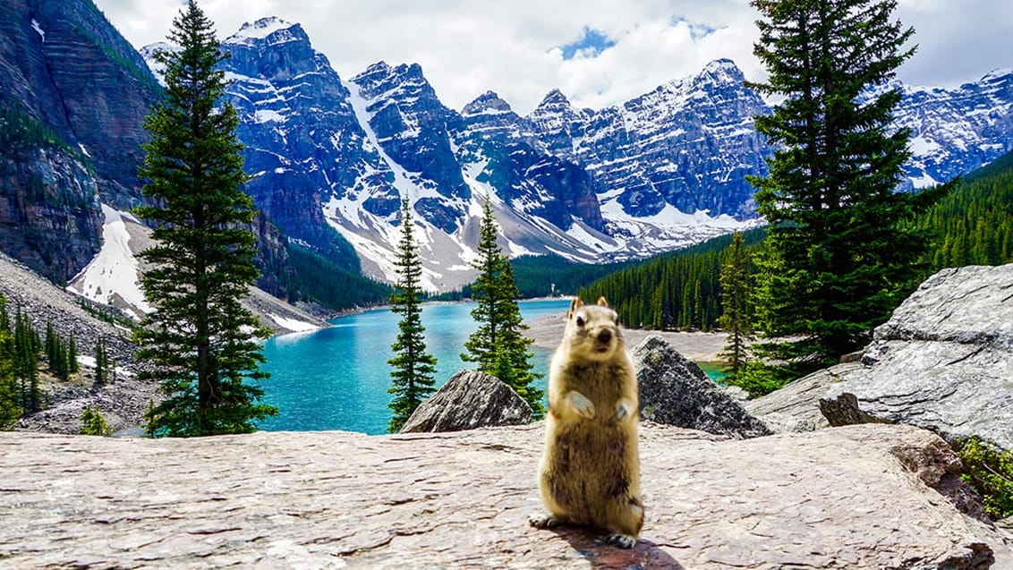 Moraine Lake, Kanada