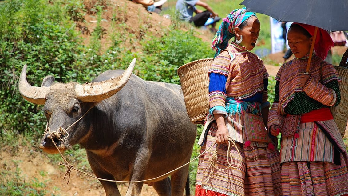 Sapa, Vietnam