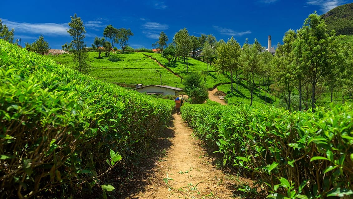 Sri Lanka