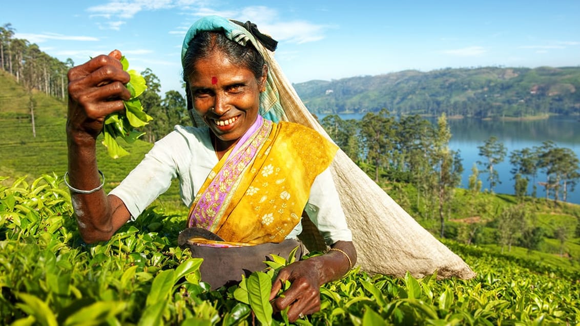 Sri Lanka