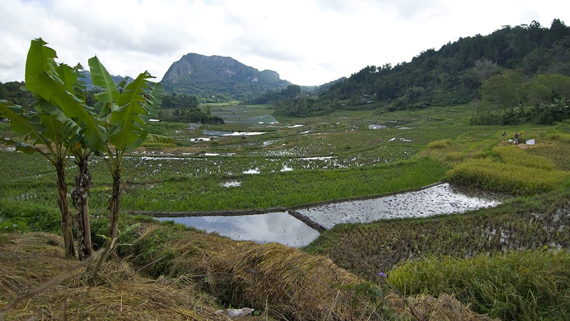 Sulawesis, Indonesien