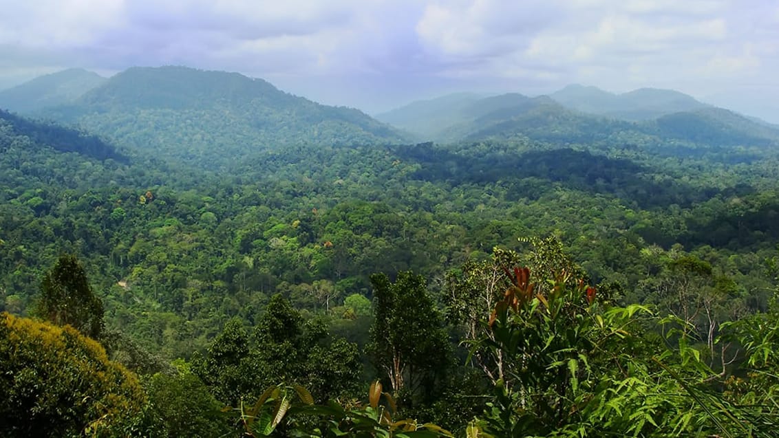 Taman Negara, Malaysia