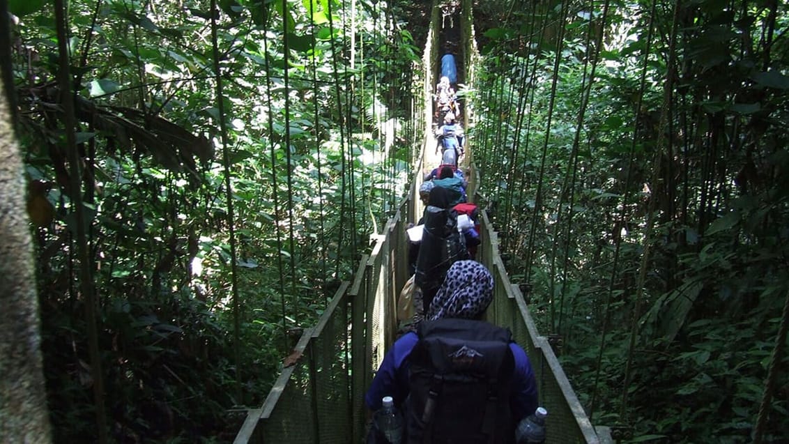 Taman Negara, Malaysia