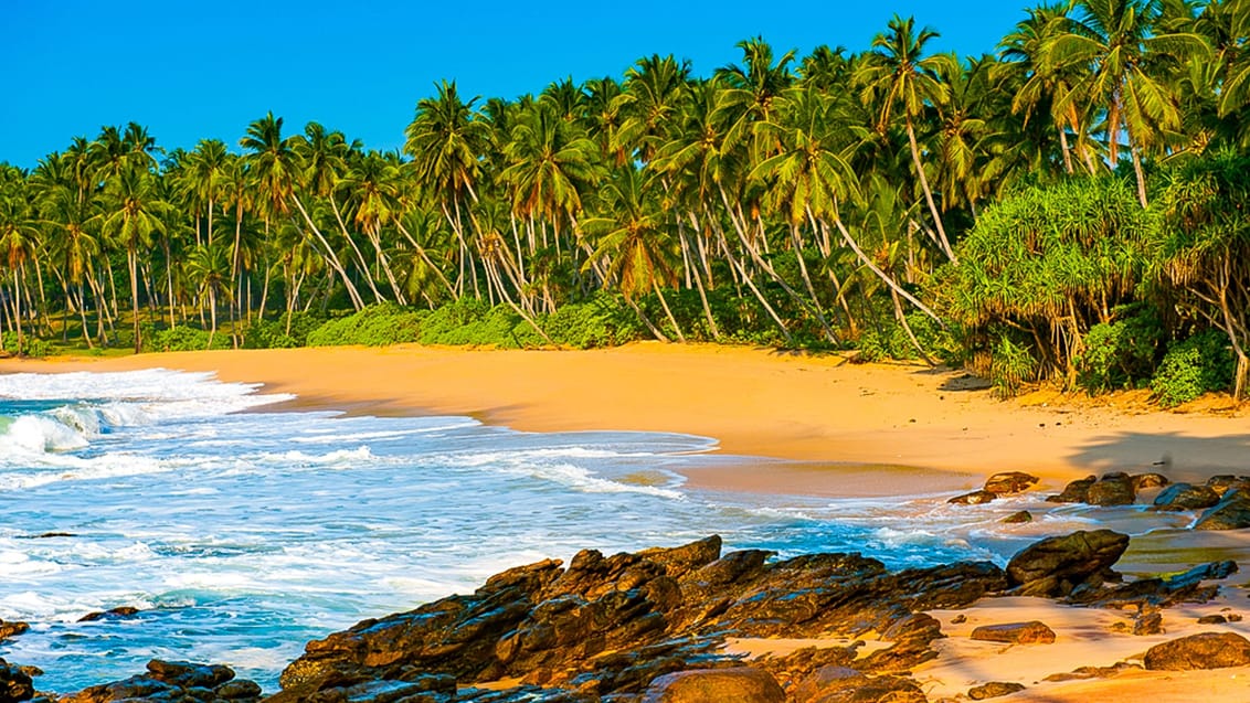 Tangalla, Sri Lanka