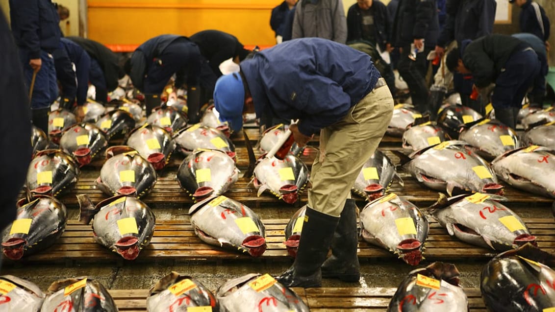 Tsukiji Fish Market i Tokyo, Japan