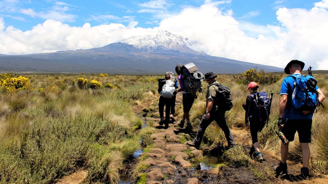 Trek till toppen av Kilimanjaro