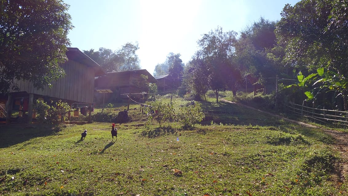 Trekking i Chiang Mai, Thailand