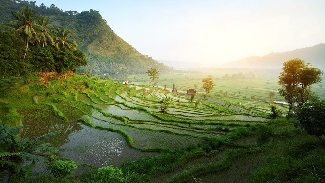 Ubud, Bali