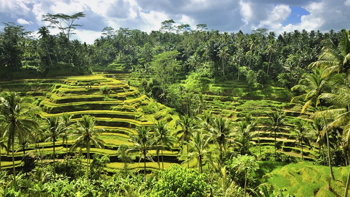 Ubud, Bali