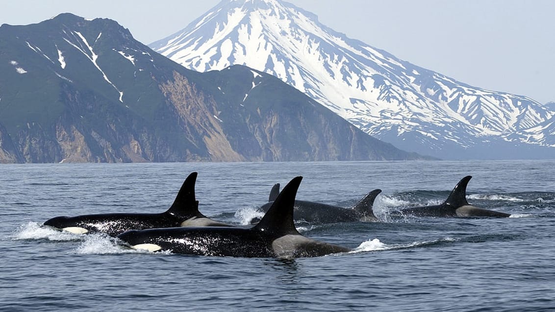 Vancouver Island, Kanada