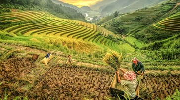 Vandring och byar i Vietnam