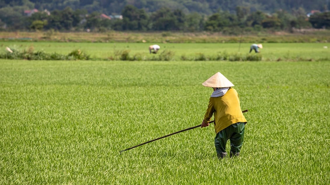 Vietnam