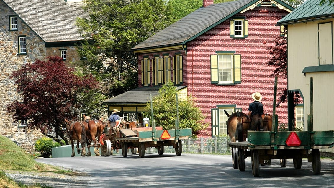 Amishfolket, USA