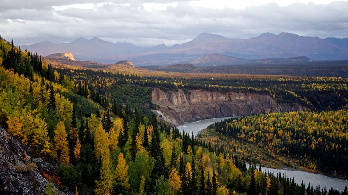 Denali National Park, Alaska, USA