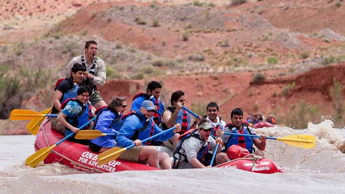 Forsränning på Colorado River, Moab, USA