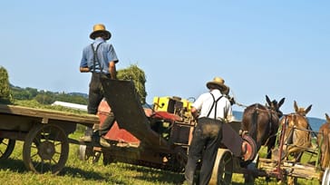 I Amishfolkets fotspår