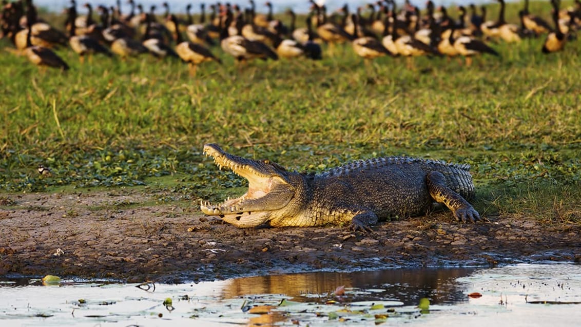 Kakadu National Park, Australien