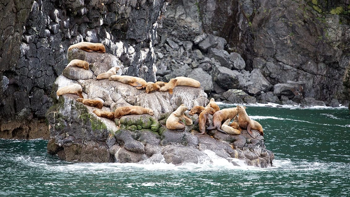 Kenai Fjords National Park, Alaska, USA