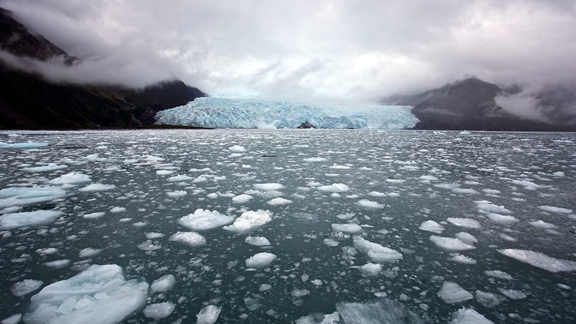 Kenai Fjords National Park, Alaska, USA