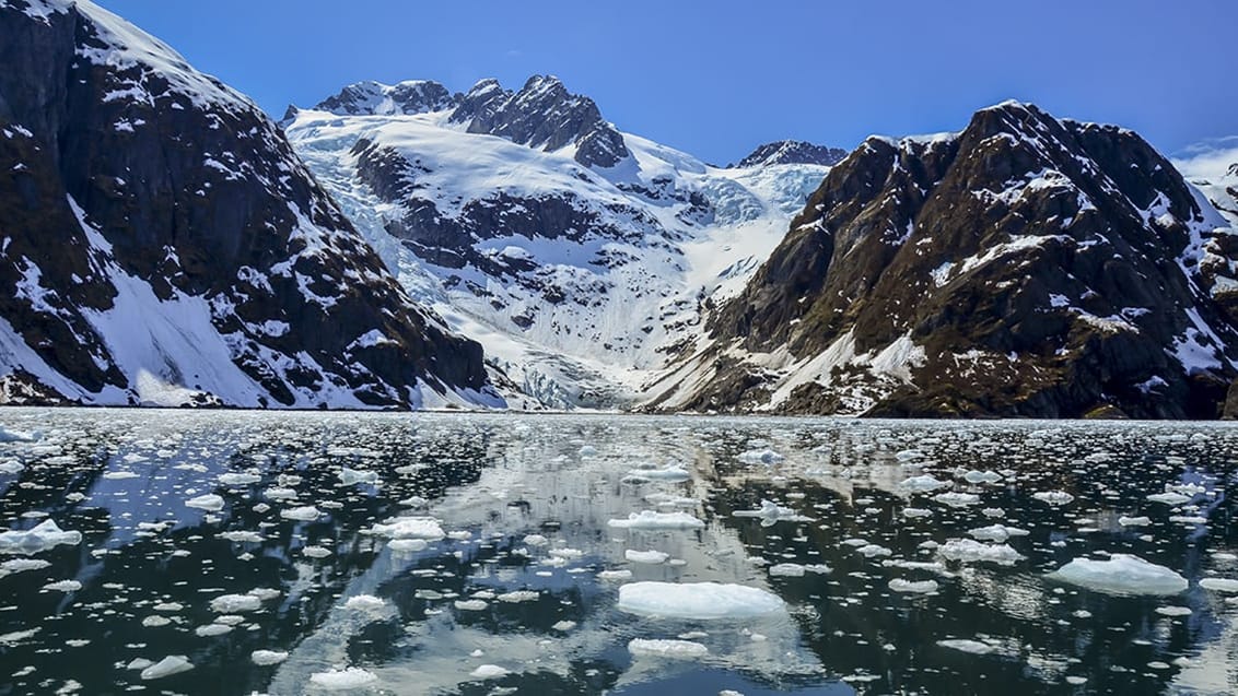 Kenai Fjords National Park, Alaska, USA