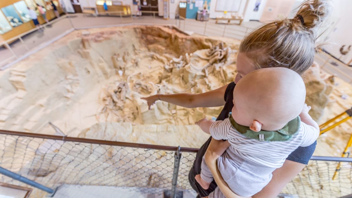 Mammoth Site, Hot Springs i Black Hills, USA