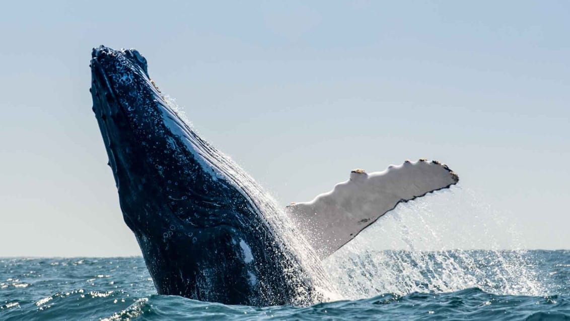 Monterey Bay, USA