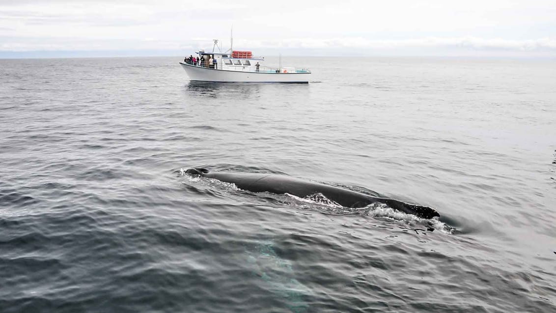 Monterey Bay, USA