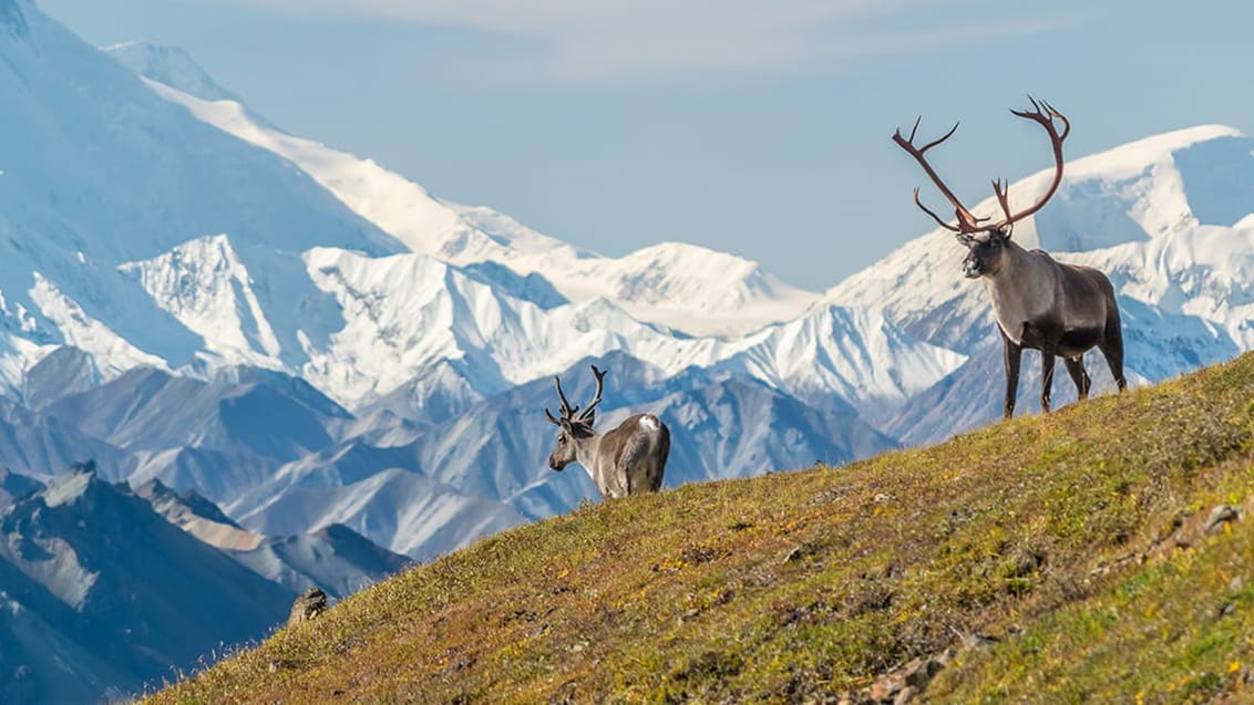 Mount McKinley, Alaska, USA