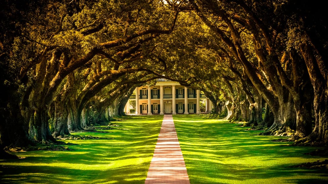 Oak Alley Plantation House i Louisiana, USA