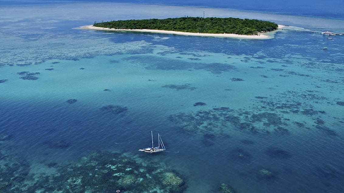 På Great Barrier Reef med segelbåten Ocean Freedom, Australien