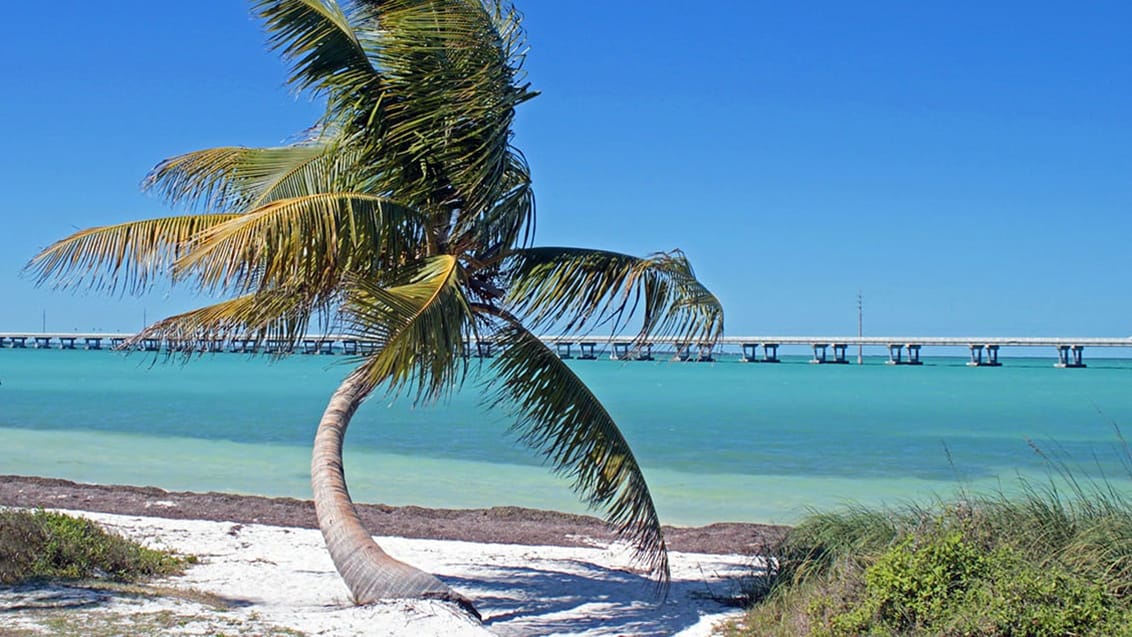 Overseas Highway, USA