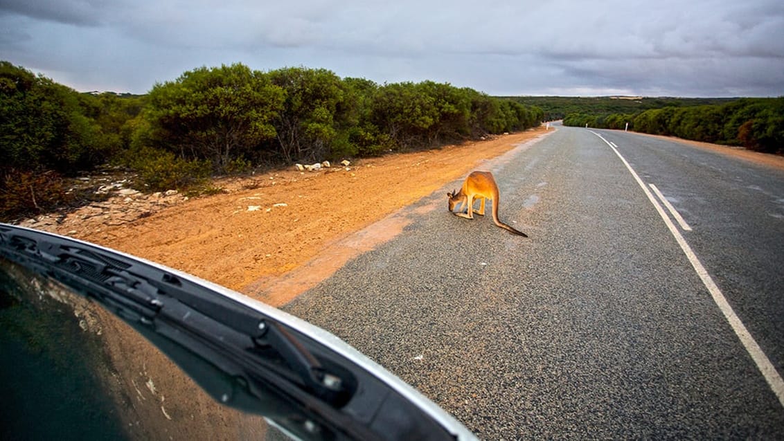 Roadtrip, Australien