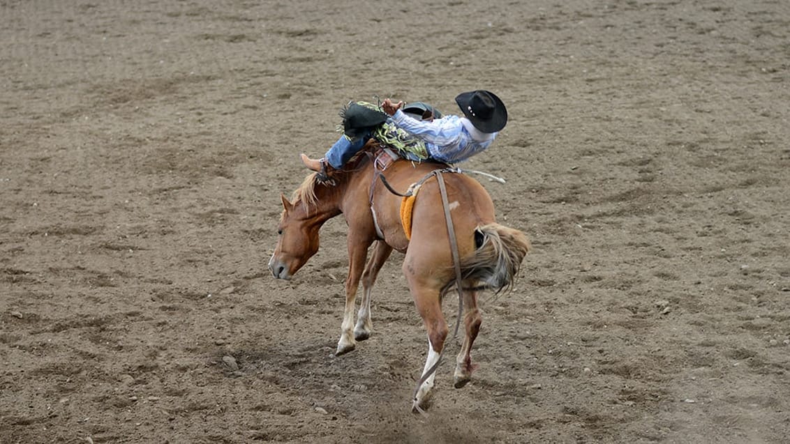 Rodeo, Cody, USA