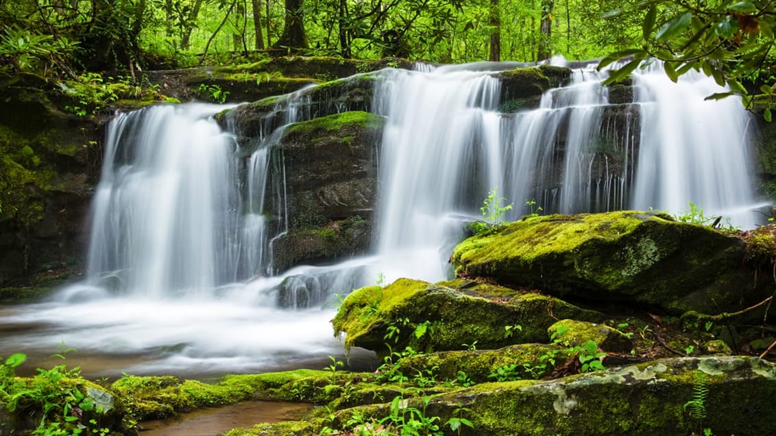 Smoky Mountains National Park, USA