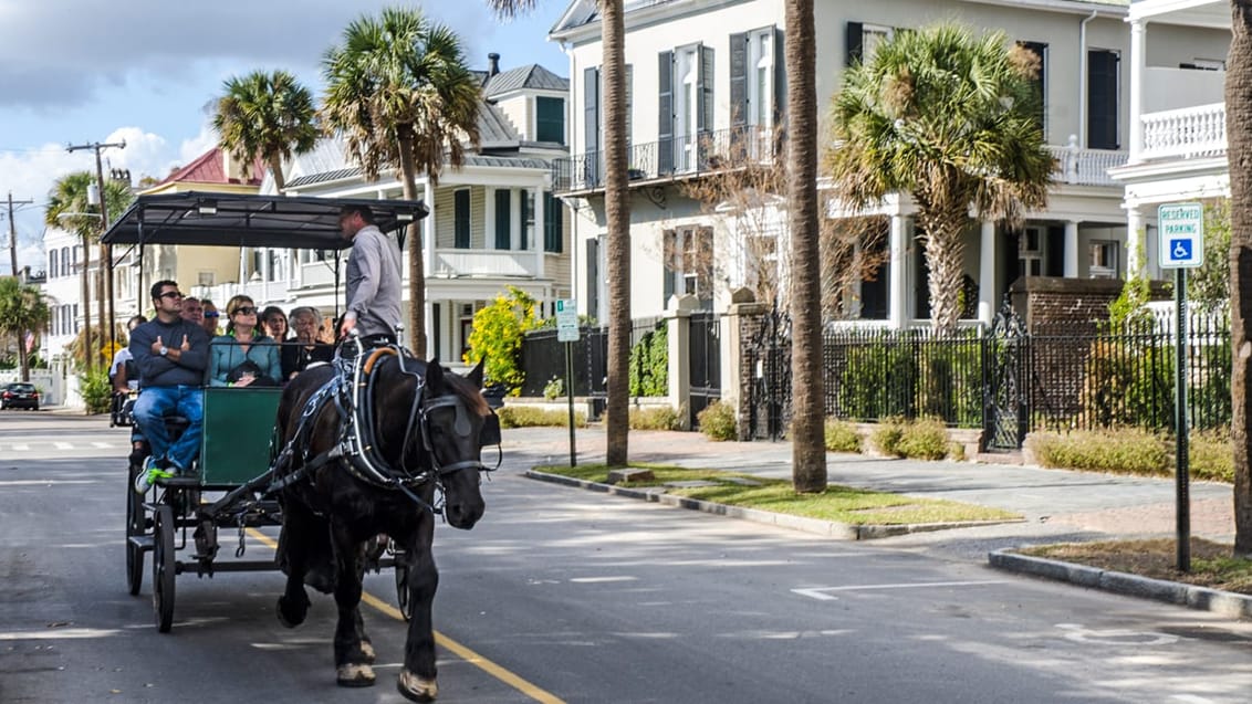 South Carolina, USA