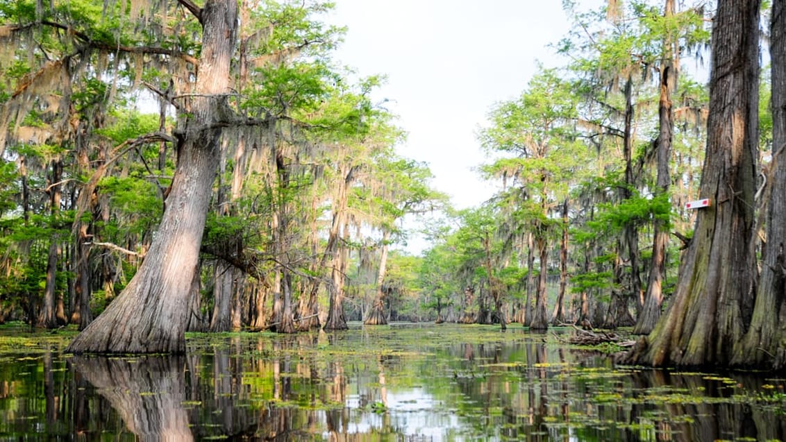 Sump, Louisiana, USA