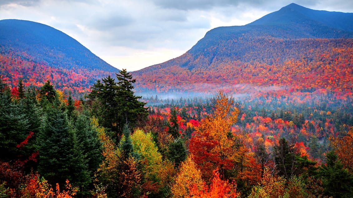 White Mountains National Forest, USA