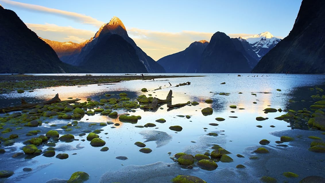 Övernattningstur på Milford Sound