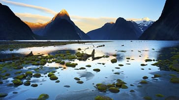 Övernattningstur på Milford Sound