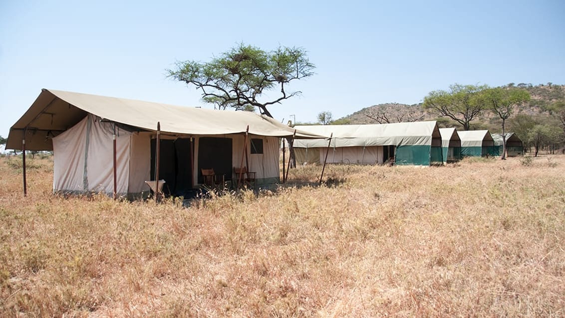 Camp, Serengeti, Tanzania