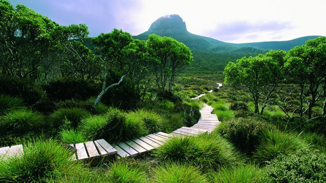 Cradle Mountain, Tasmanien, Australien