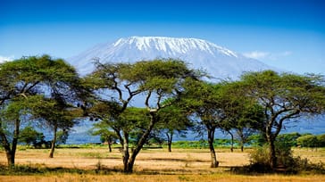 Det bästa av Kenya och Tanzania