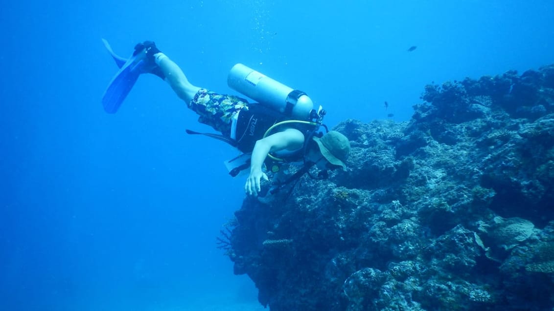 Dykarcertifikat PADI, Pacific Harbour, Fiji